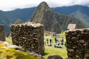 マチュ ピチュ：ビスタドーム展望台列車で行く 1 日ツアー