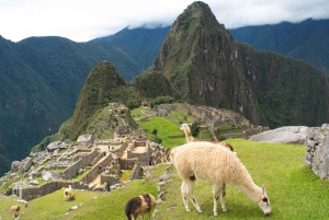 マチュ ピチュ：ビスタドーム展望台列車で行く 1 日ツアー