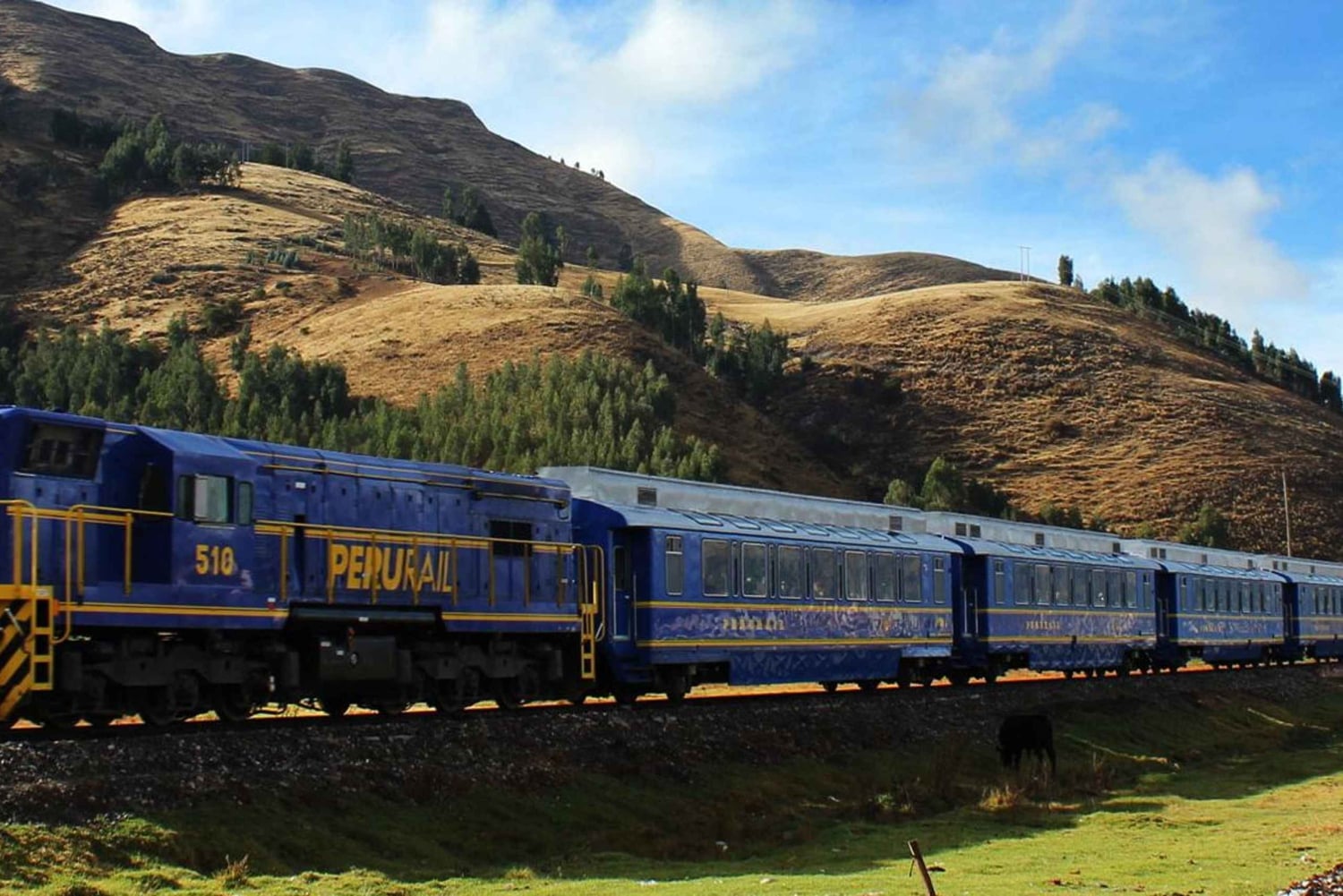 Machu Picchu: Tagestour mit dem Vistadome Panoramazug