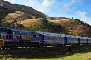 Machu Picchu: Tagestour mit dem Vistadome Panoramazug
