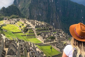 Machu Picchu: Tagestour mit dem Vistadome Panoramazug
