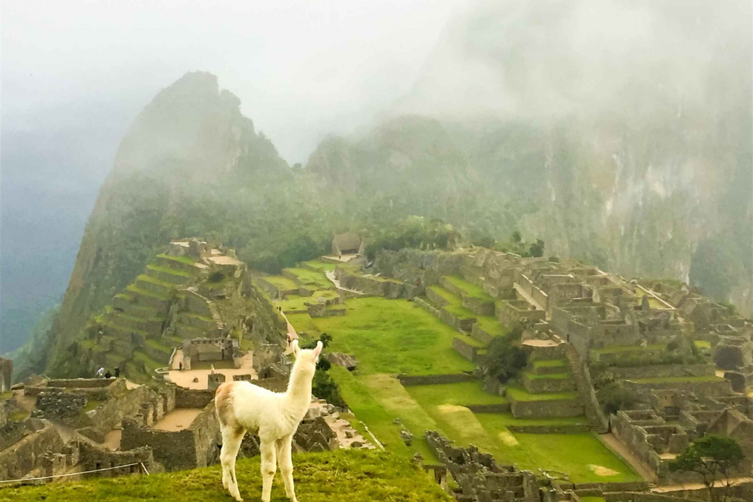 Machu Picchu: 2-Day Group Tour of the Inca Trail