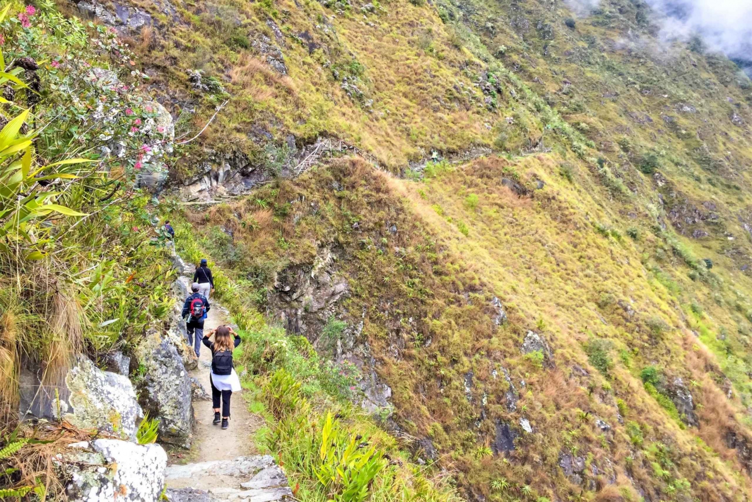 Cuzco: Excursión de 2 días a Machu Picchu por el Camino Inca y tren panorámico
