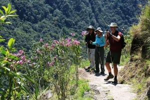 Cusco : Excursion de 2 jours au Machu Picchu sur le Chemin de l'Inca et train panoramique