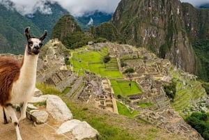 Machu Picchu Excursión de 2 días con tickets de entrada