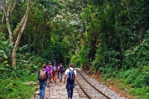 Machu Picchu 2 dagar + vandring