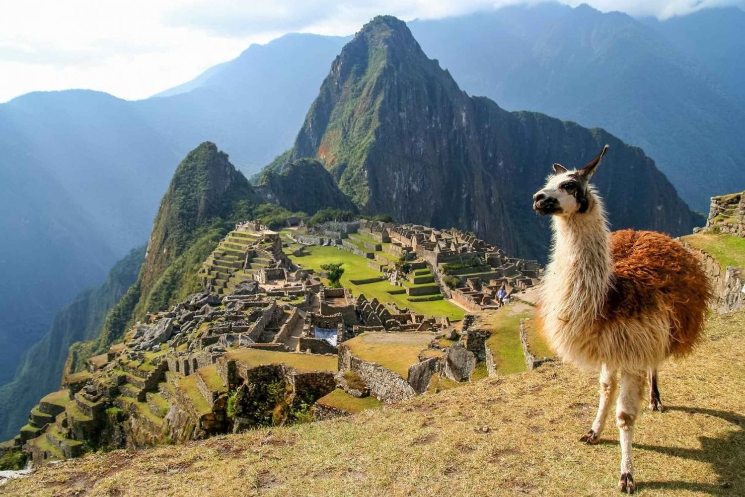 Avventura a Machu Picchu: Biglietti per la meraviglia del mondo.