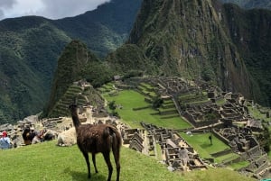 Aventure tout compris en train au Machu Picchu - Circuit privé