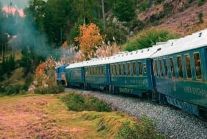 Cusco : Machu Picchu par le train de luxe Belmond Hiram Bingham