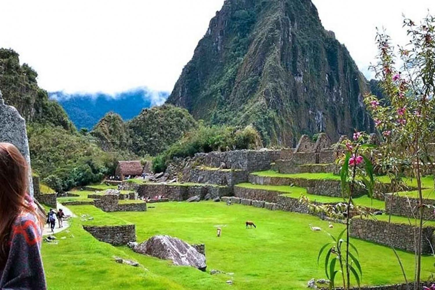 Machu Picchu Circuit 3 Royal Route + Profesional Tour Guide