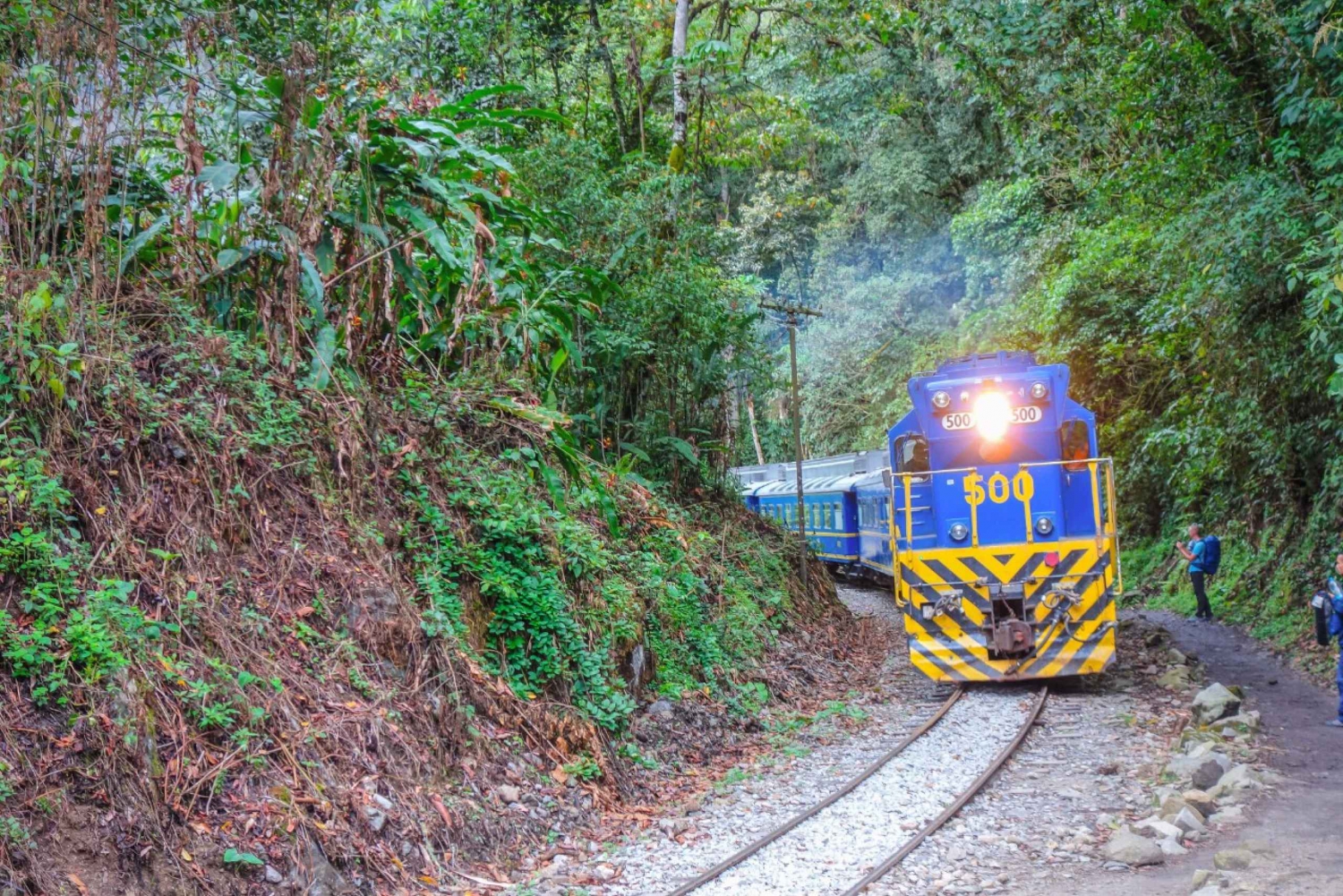 Machu Picchu: Day Trip by Vistadome Train 360° from Cusco in Peru