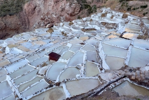 Machu Picchu: Expert Guided Tour