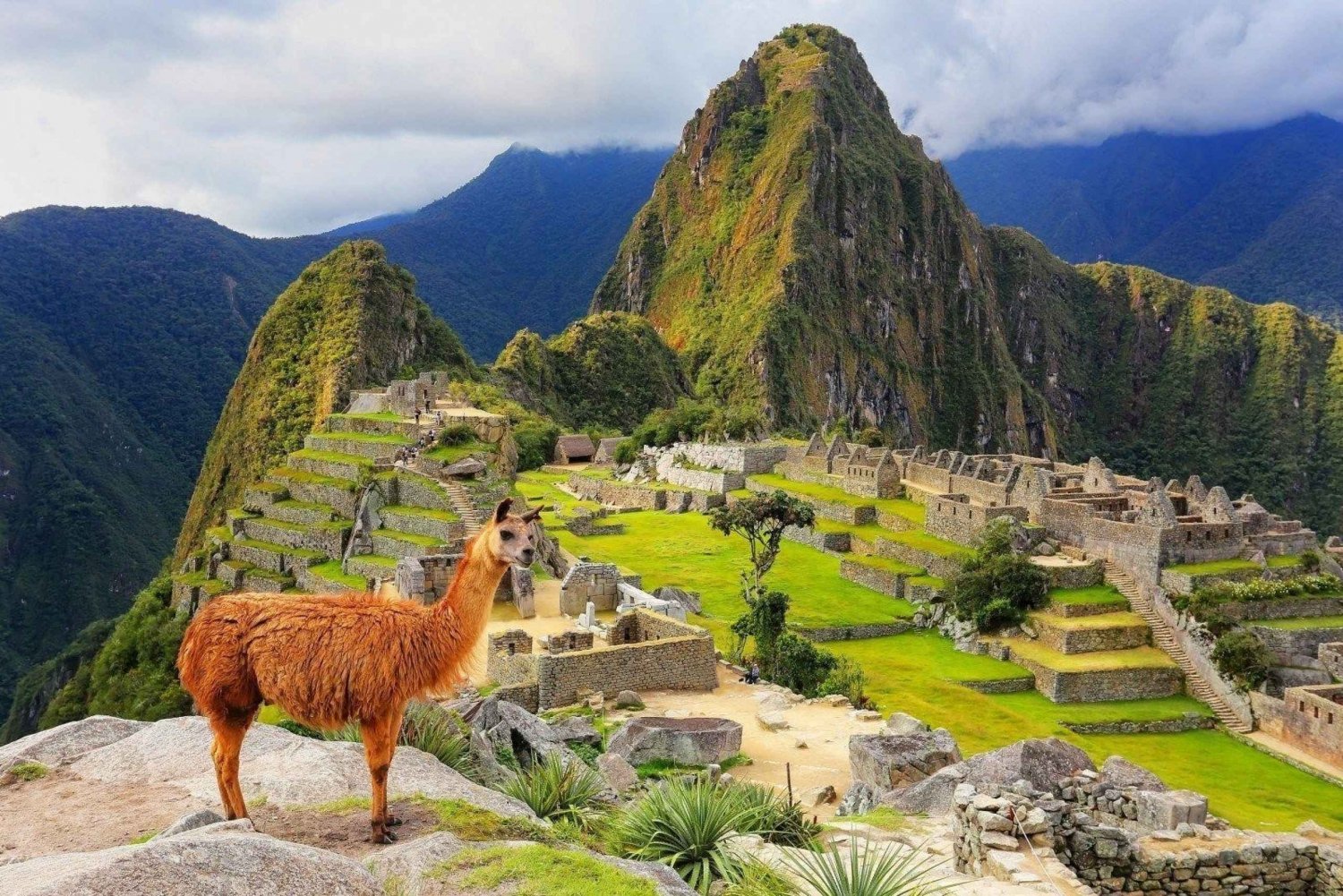 Machu Picchu: Officiell entrébiljett för krets 1 eller 2