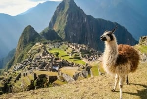 Machu Picchu in a day with the 'Inca Rail' Train Company