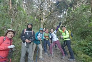Machu Picchu: Inca Trail 2-dniowa wycieczka z przewodnikiem z noclegiem