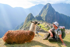 Machu Picchu: ticket ciudadela perdida y montaña