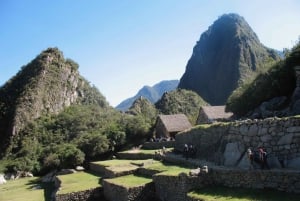 Machu Picchu Ochtend Combo: Entreebewijs, bus en gids
