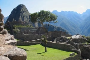 Combo mattutino di Machu Picchu: Biglietto d'ingresso, bus e guida