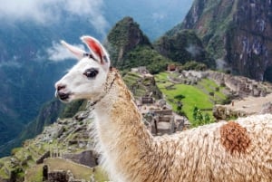 Machu Picchu: virallinen sisäänkäynti