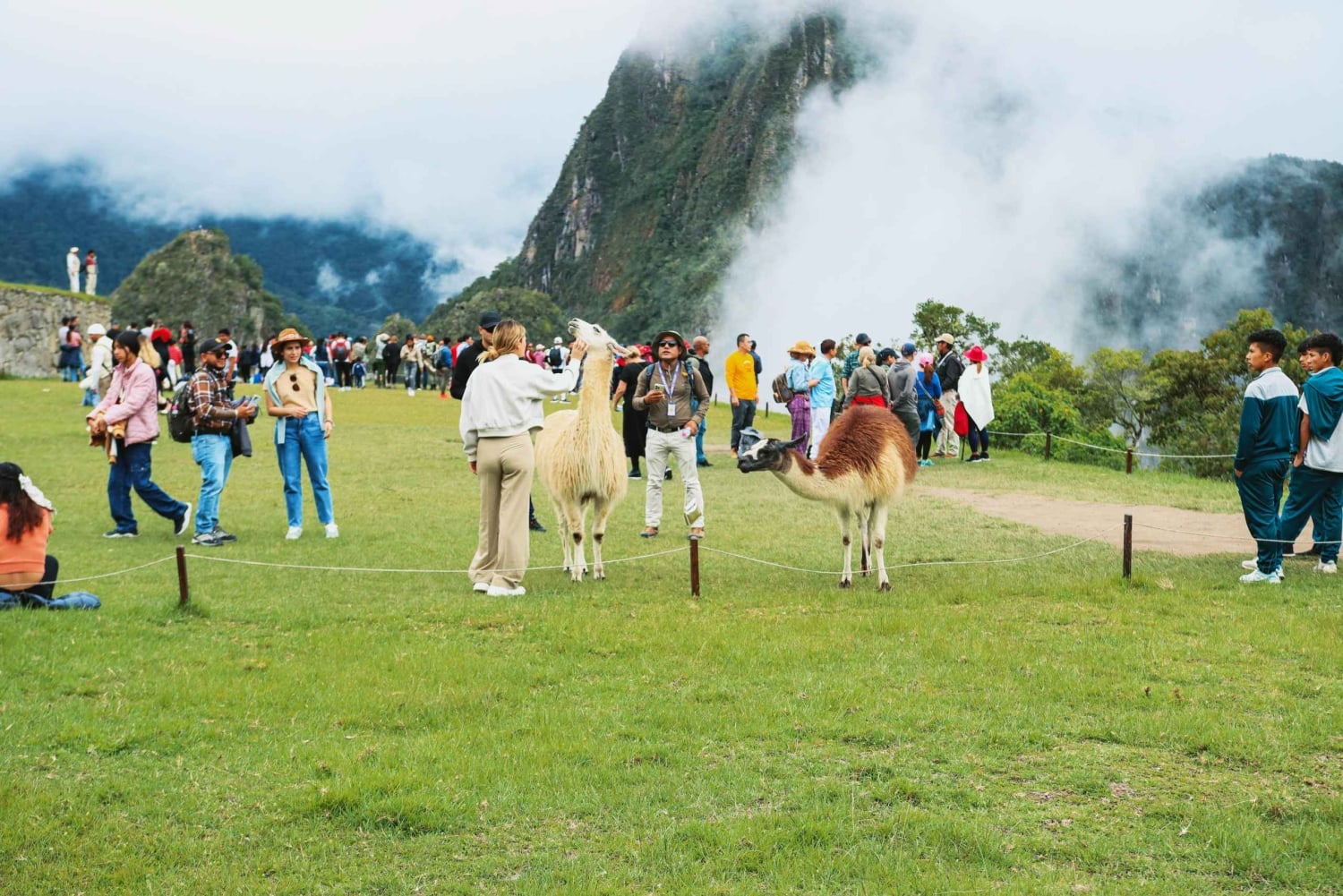 Machu Picchu Official Entry Ticket, Private Guide & Bus