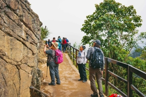 Machu Picchu Official Entry Ticket, Private Guide & Bus