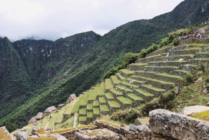 Machu Picchu Official Entry Ticket, Private Guide & Bus