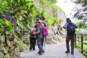 Machu Picchu: ingresso oficial, autocarro e guia privado