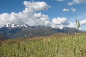 Machu Picchu: Privat heldagstur med ettermiddagsinngang