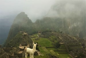 Machu Picchu: Private Tour Guide Service