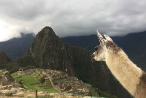 Machu Picchu: Private Tour Guide Service