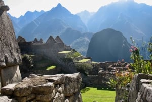Machu Picchu Combo voor kleine groepen: Entree ticket, bus & gids