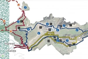 Machu Picchu Entry Ticket and Bus from Aguas Calientes
