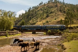 Heldagstur til Machu Picchu med Vistadome-toget