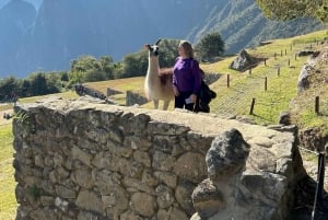 Guia de turismo Machu Picchu CIRCUITO 1, 2 ou 3