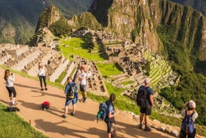 Machu Picchu: Gids & Toegangsticket Circuit-2