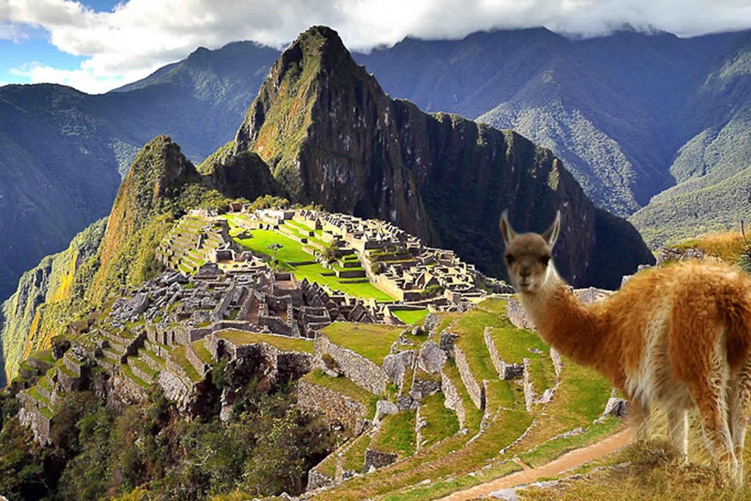 Excursion au Machu Picchu + Montagne Huayna Picchu