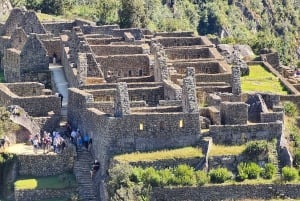 Excursion au Machu Picchu + Billet d'entrée 1 jour