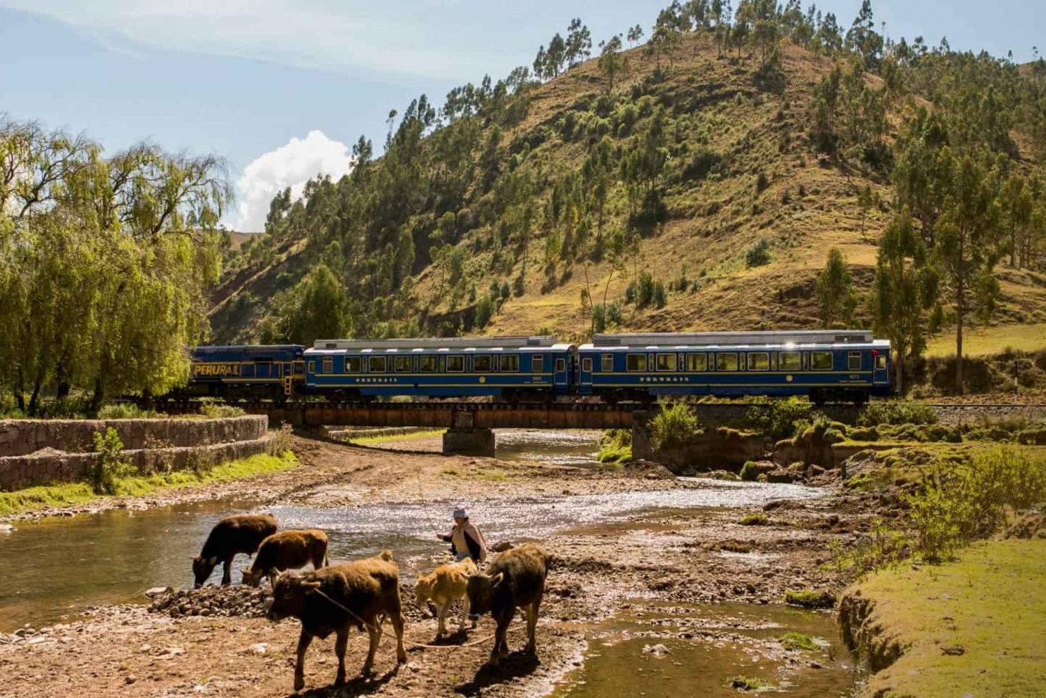 Machu Picchu: Vistadome Train Round-trip Ticket