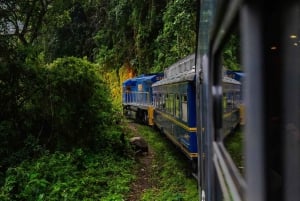 Excursión a Machupicchu en tren turístico en 2 días