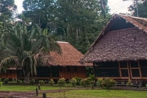 Madre de Dios-Inkaterra Amazon Reserve Experience 4 Day Tour