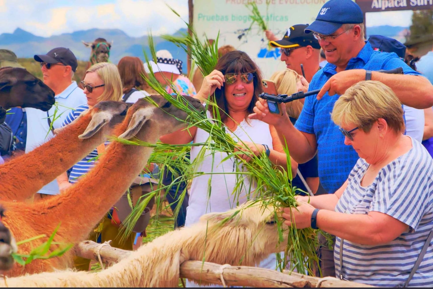 Rituales mágicos y el desafío de las llamas.