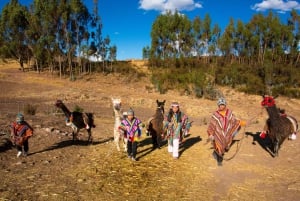 Rituais mágicos e o desafio das lhamas