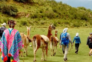 Rituales mágicos y el desafío de las llamas.