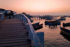 Tumbes: Excursión a los Manglares e Islas de Puerto Pizarro
