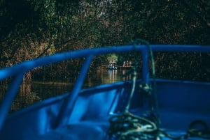 Tumbes: Excursión a los Manglares e Islas de Puerto Pizarro