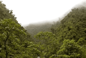 Manu Cultural Zone Tour 5 Days