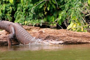 Manu Cultural Zone Tour 5 Days