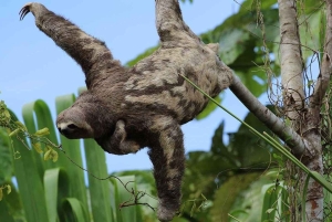 Manu Cultural Zone Tour 5 Days