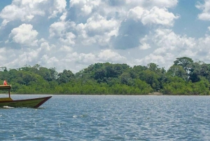 Manu Cultural Zone Tour 5 Days