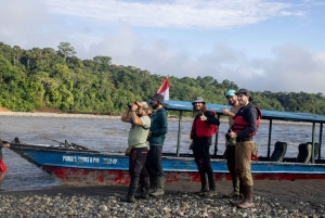 Manu National Park: Nature, culture, birds, and mammals – Full Day